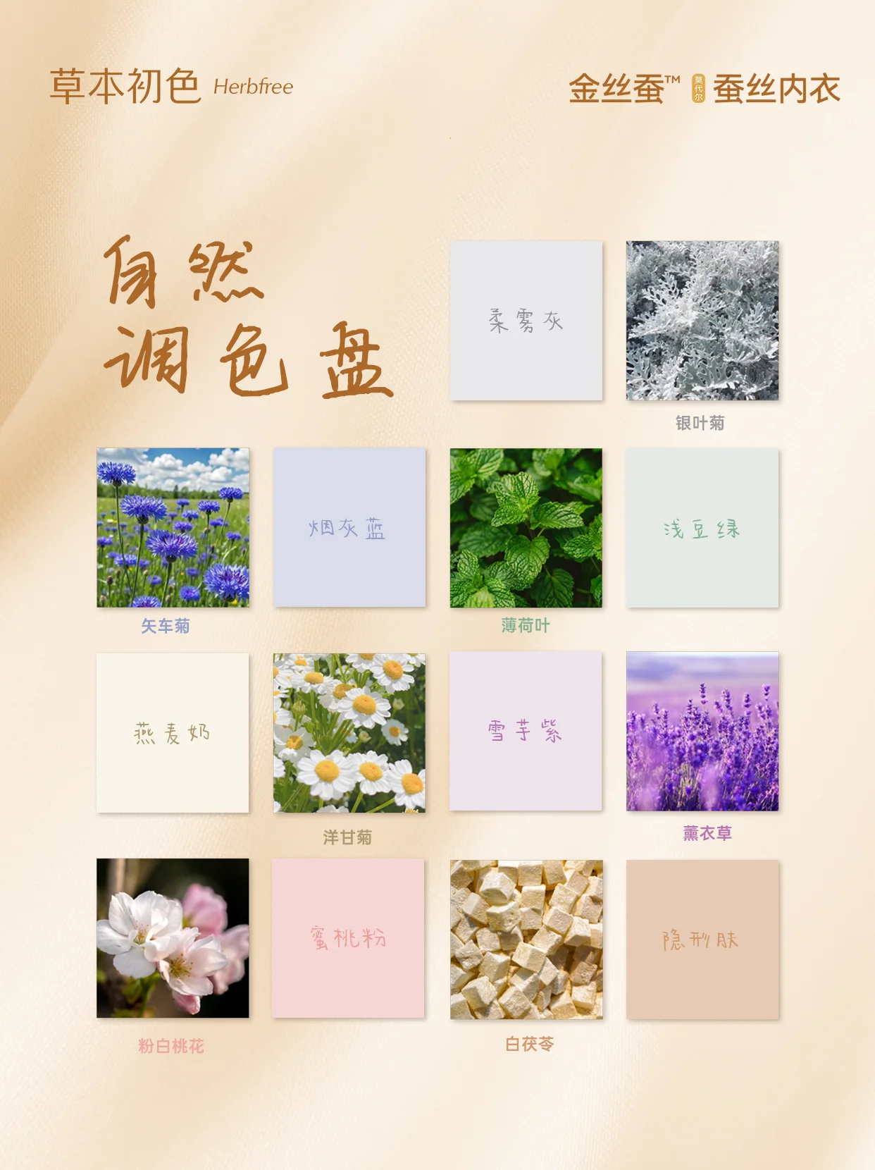 金丝蚕专区指南：植物系原生配色